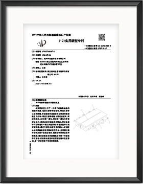 中國專利