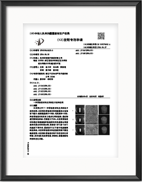 中國專利
