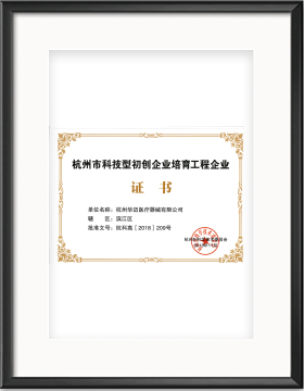 雛鷹證書
